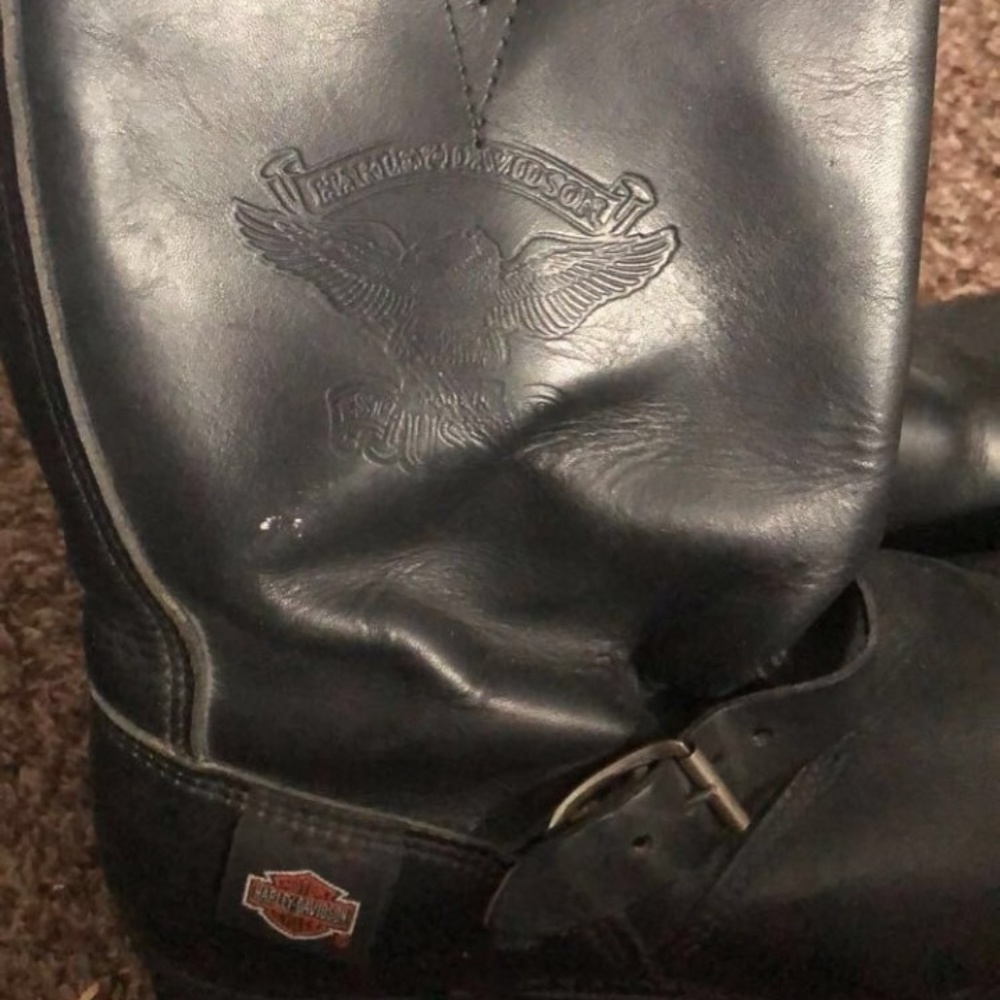 Harley Davidson tall Boys